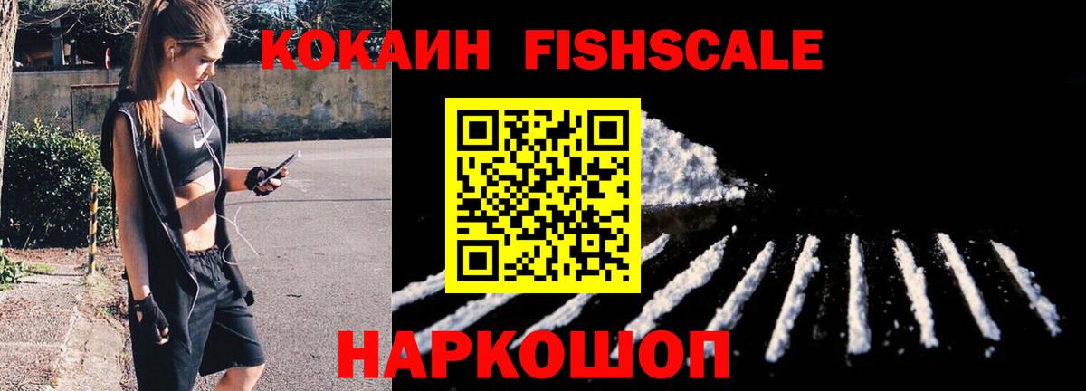 Кировск  Cocaine Fish Scale  Вход с VPN 