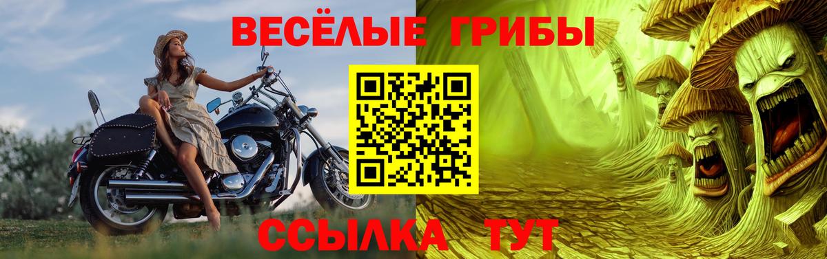 Кировск  Галлюциногенные грибы Magic Shrooms  Псилоцибиновые грибы Psilocybine cubensis  наркота  Вход с VPN 